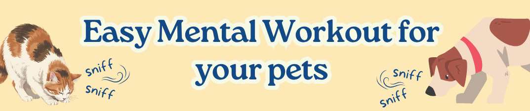 5 Lazy Ways to Keep Your Dog Busy at Home (Without Buying Another Toy)