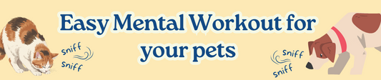 5 Lazy Ways to Keep Your Dog Busy at Home (Without Buying Another Toy)