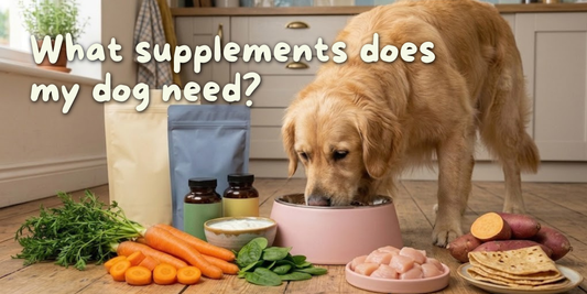 What supplements does my pet need?