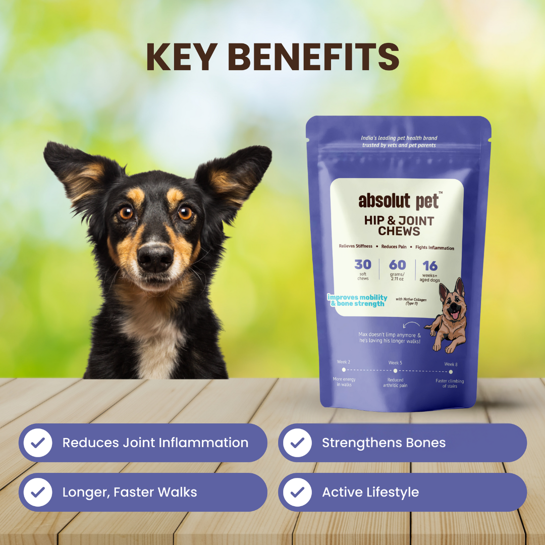 Hip & Joint Chews