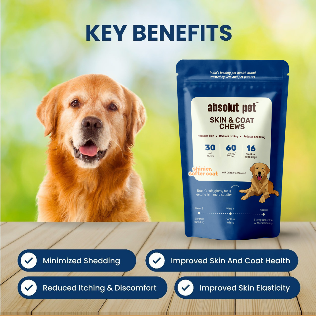 Skin & Coat Chews
