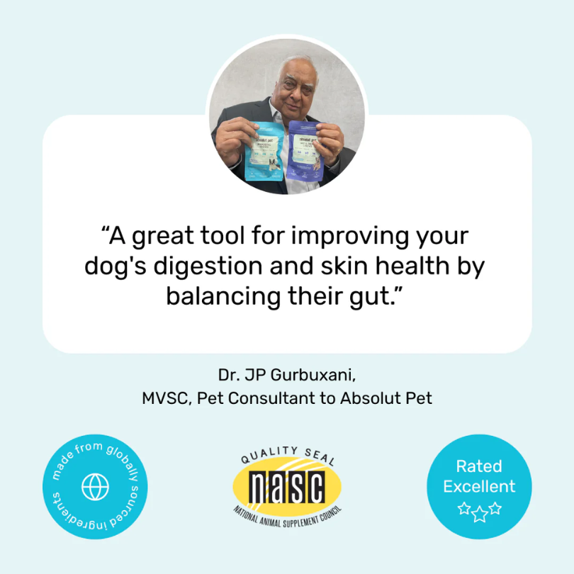Probiotic & Gut Chews