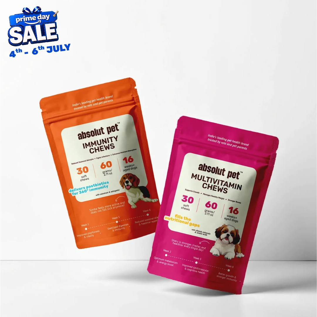 Immunity & Multivitamin Chews Combo