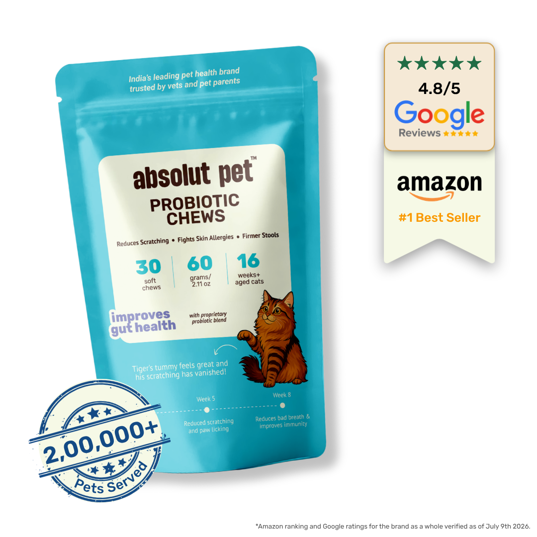 Cat Probiotic Supplement