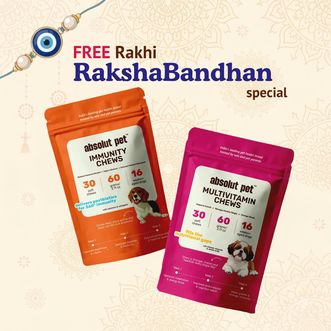 Immunity & Multivitamin Chews Combo
