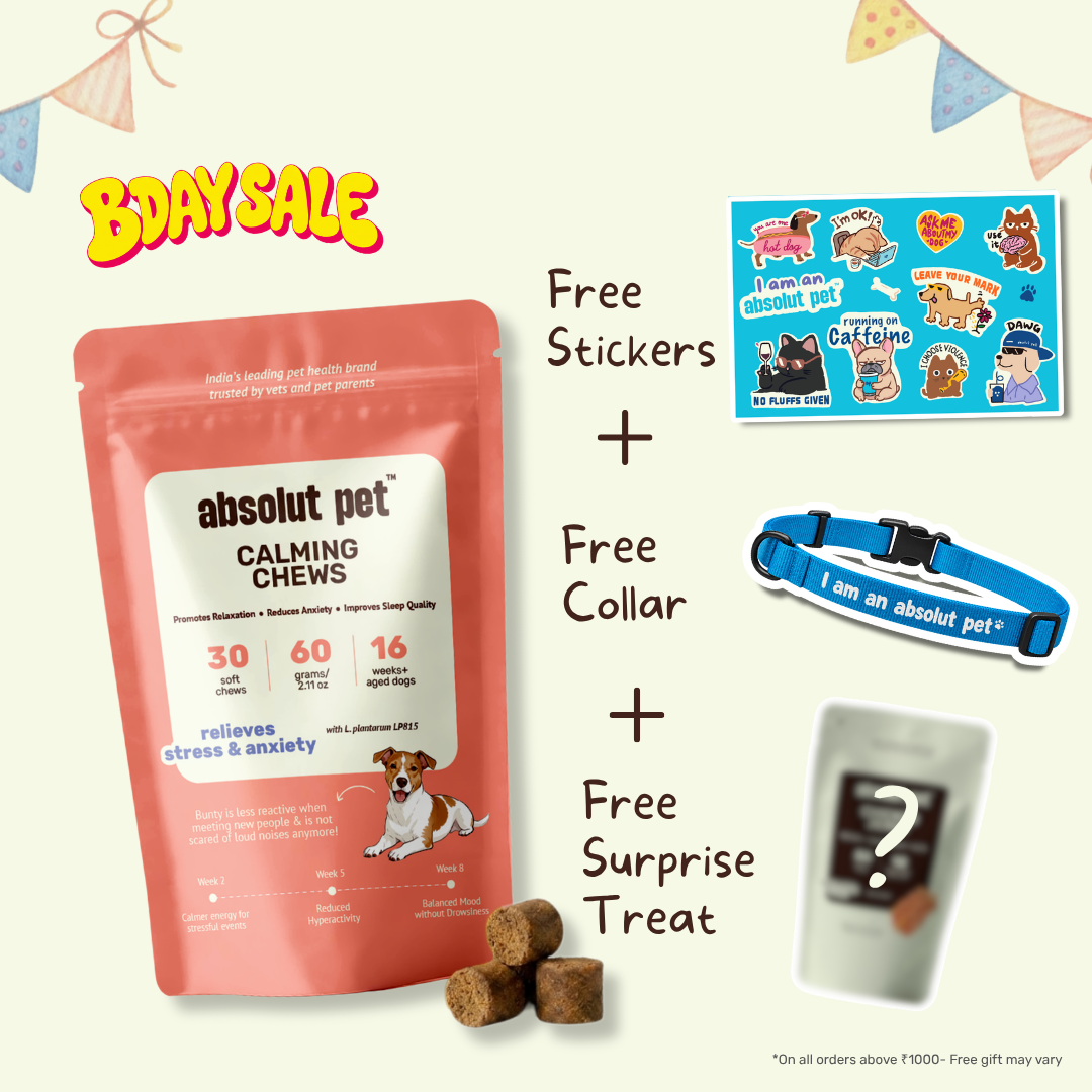 Dog Calming Chews