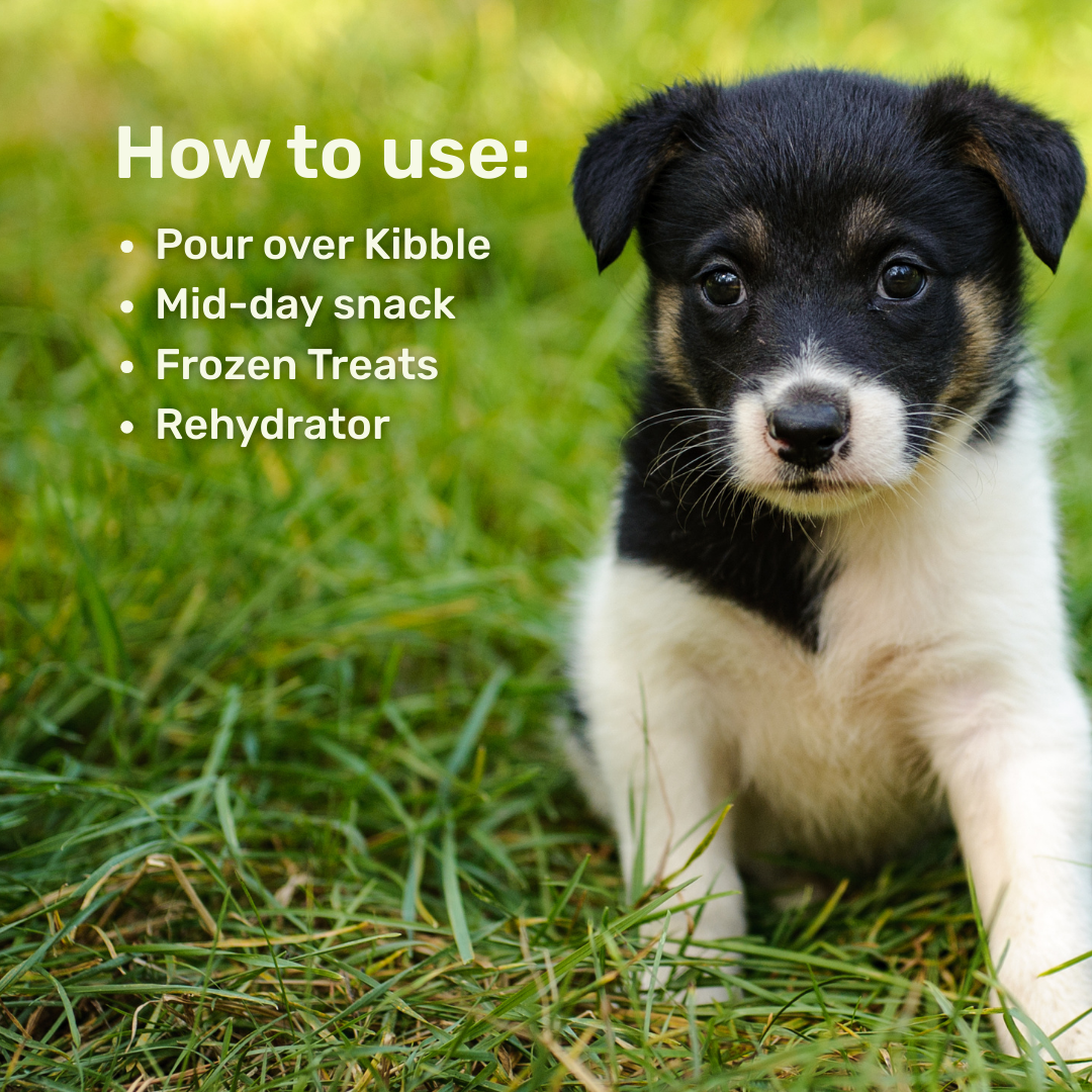 Protein Milk For Dogs