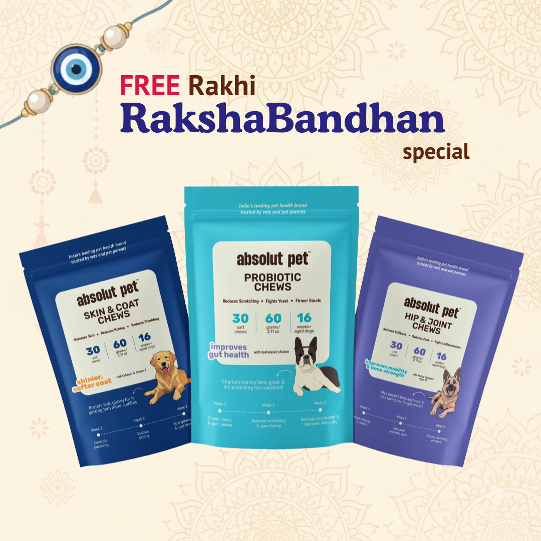 Probiotic, Hip & Joint, Skin & Coat Combo