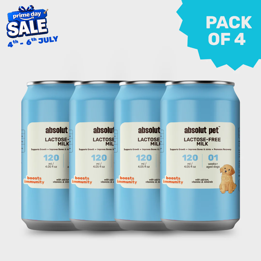 Protein Milk For Dogs