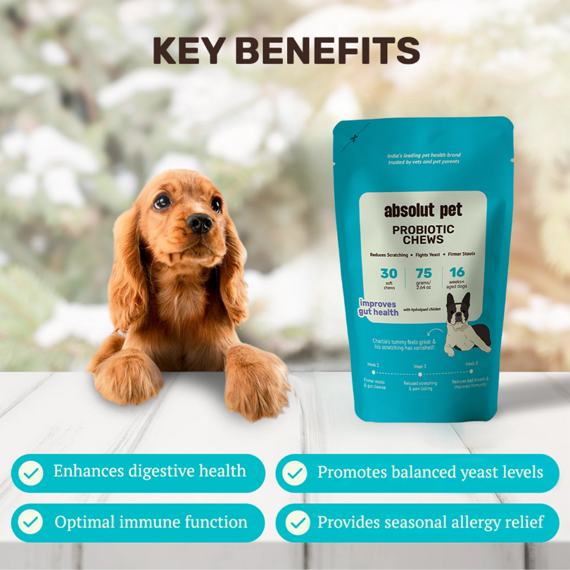 Probiotic & Gut Chews