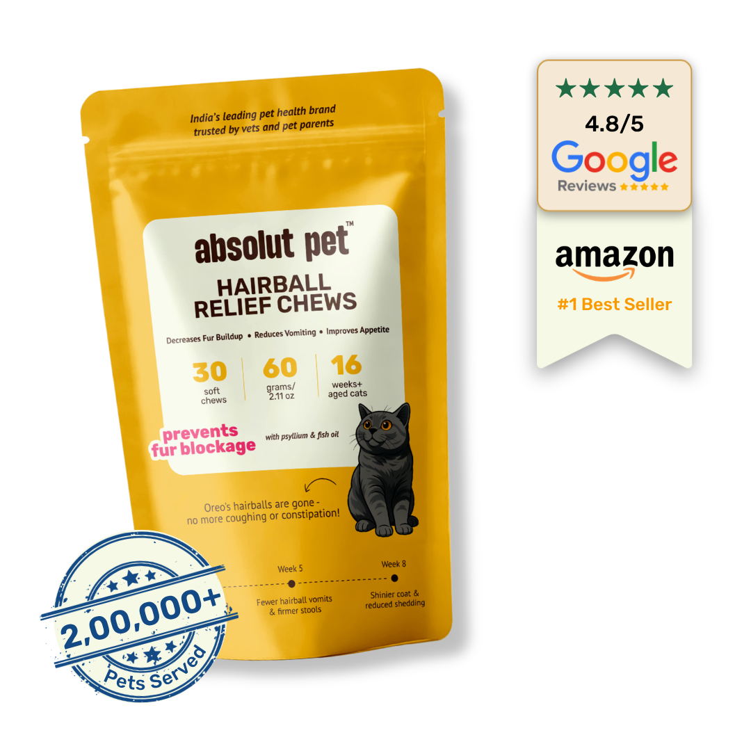 Cat Hairball Relief Supplement