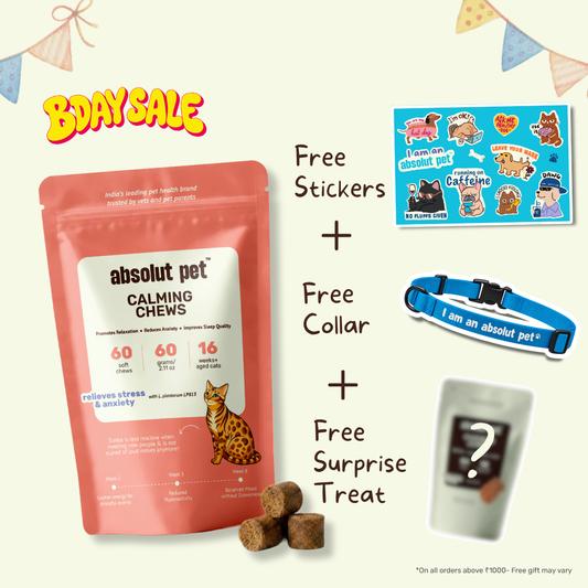 Cat Calming Chews