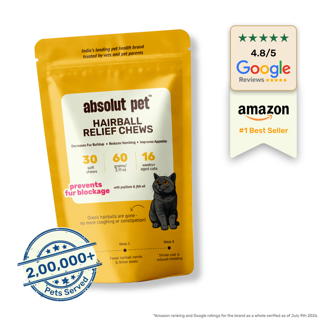 Cat Hairball Relief Supplement