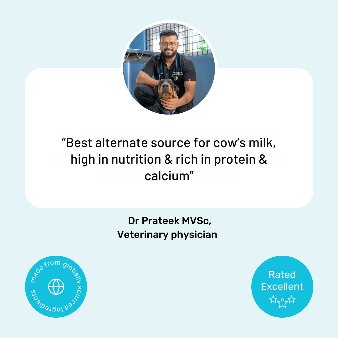 Protein Milk For Dogs