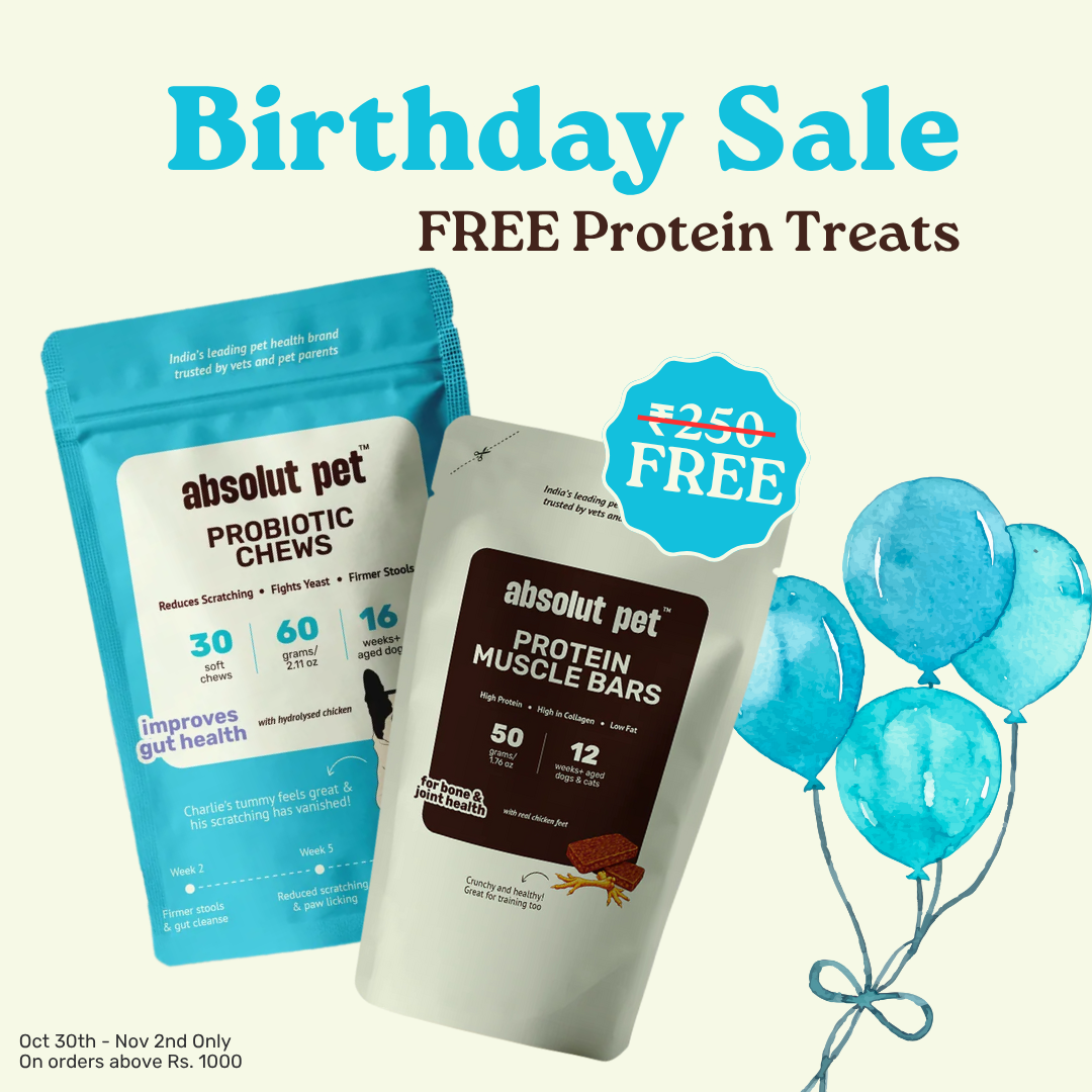 Probiotic & Gut Chews