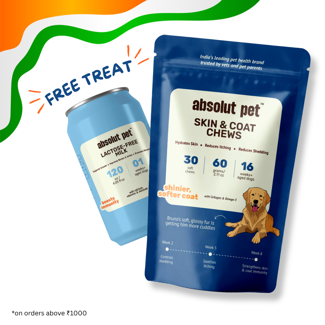 Skin & Coat Supplement