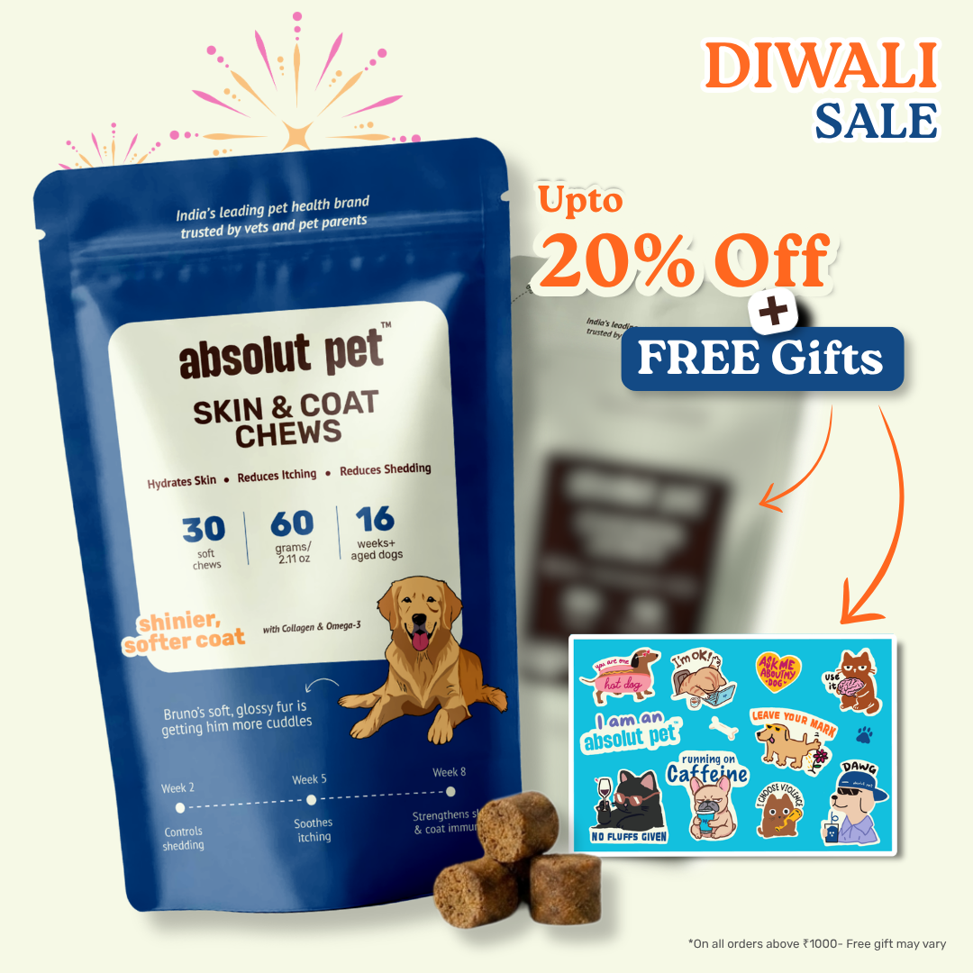 Dog Skin & Coat Supplement