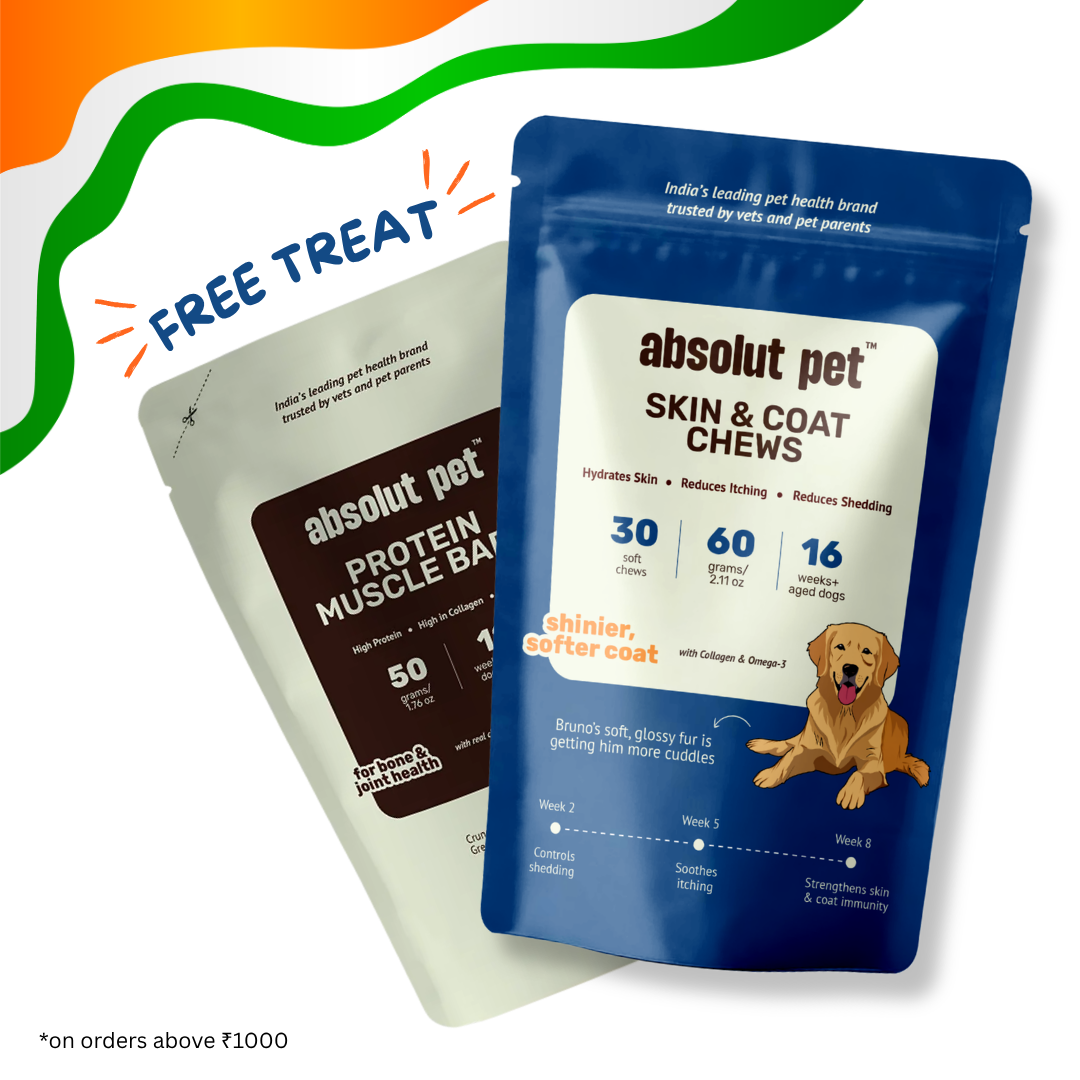 Skin & Coat Supplement