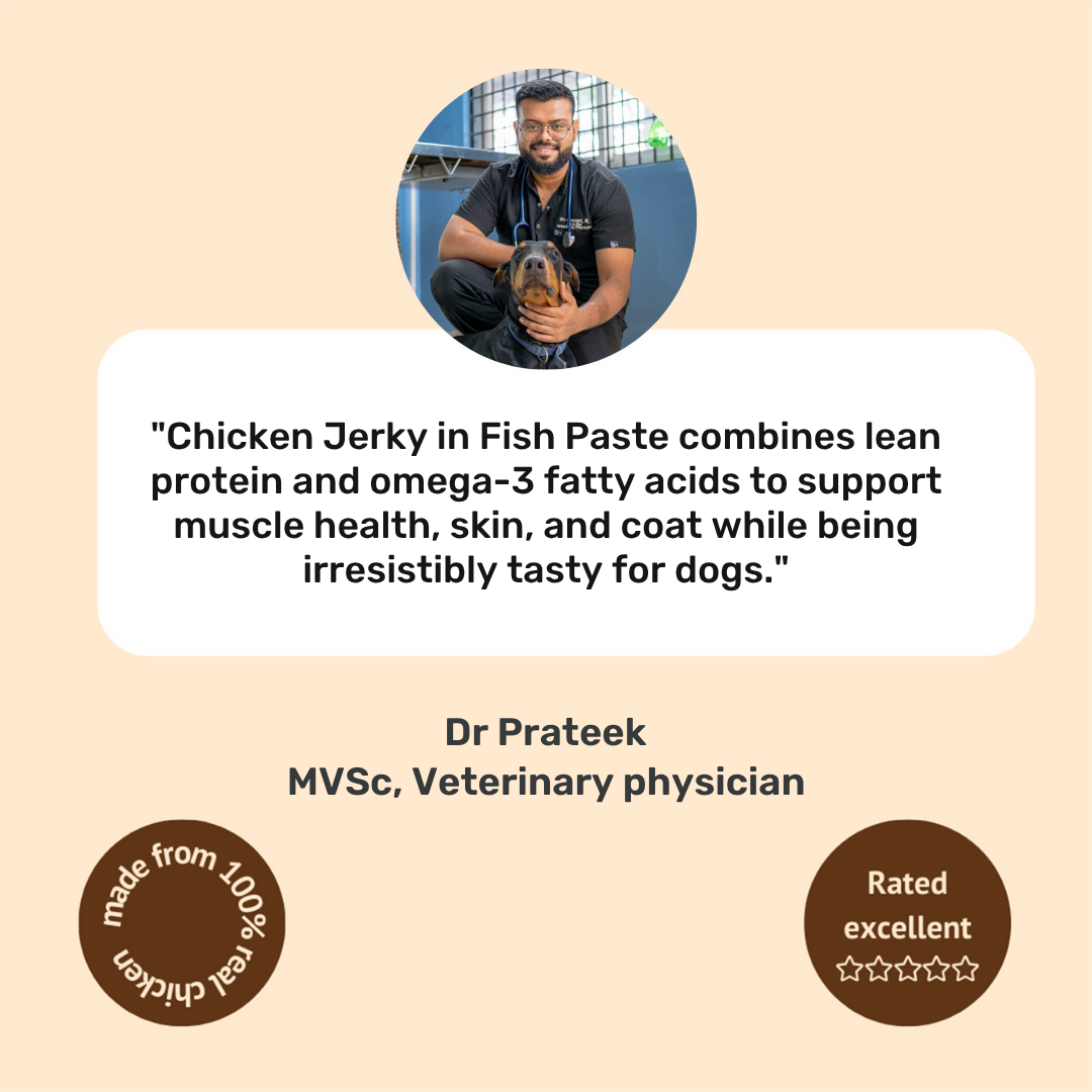 Chicken Jerky in Fish Paste