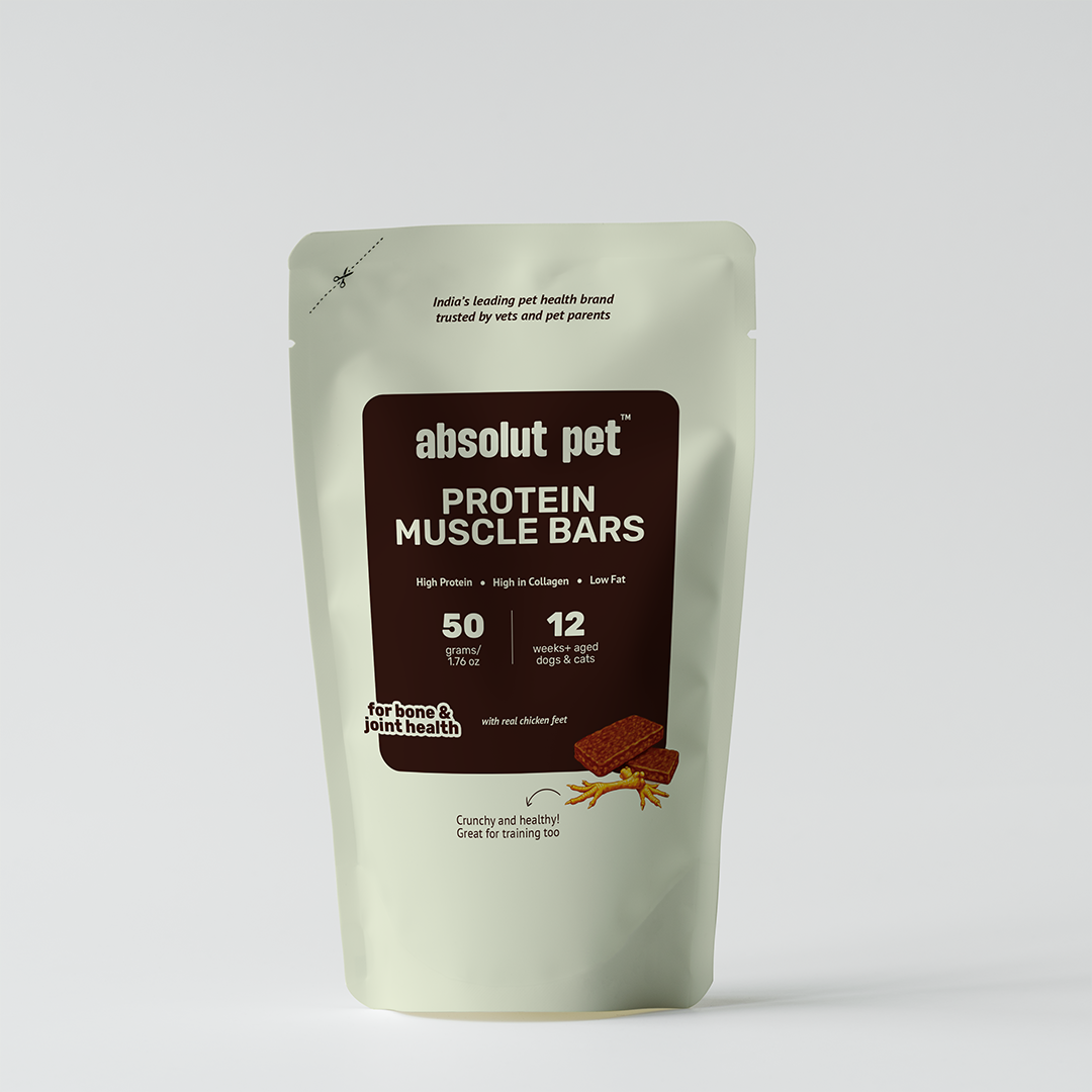 Protein Muscle Bars - Chicken Feet Biscuits