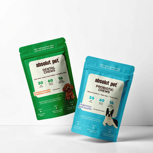 Probiotic & Dental Combo