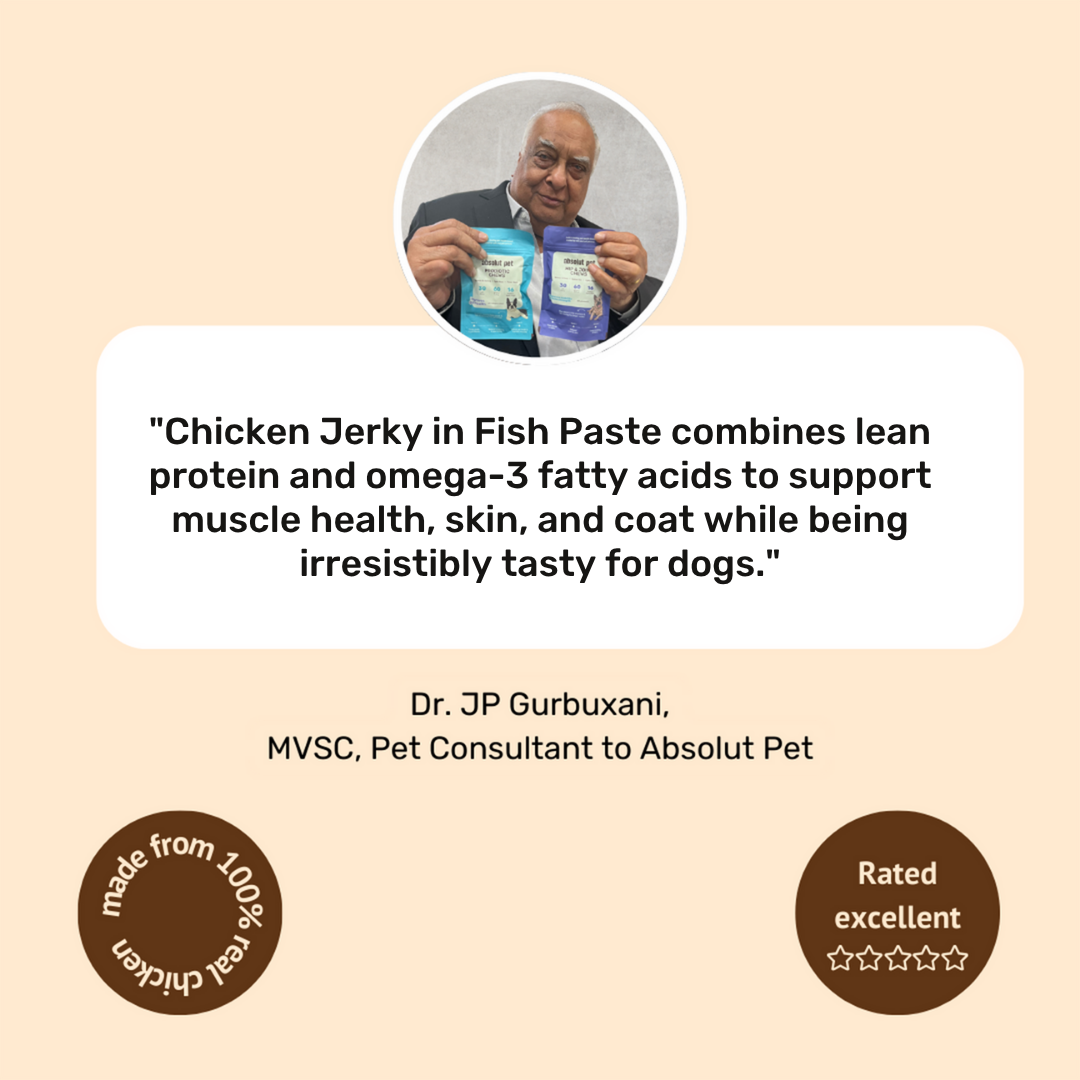 Chicken Jerky in Fish Paste