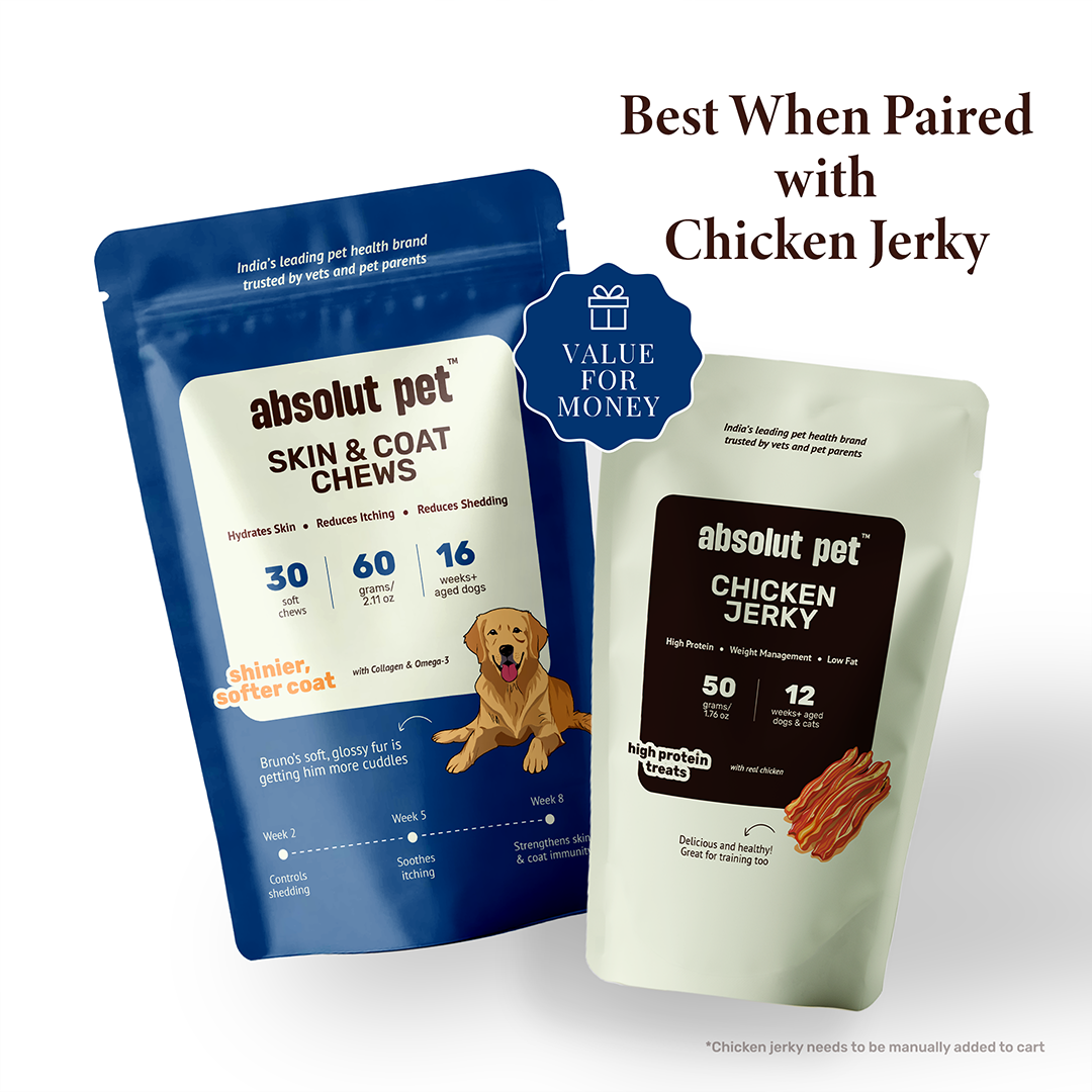 Skin & Coat Chews