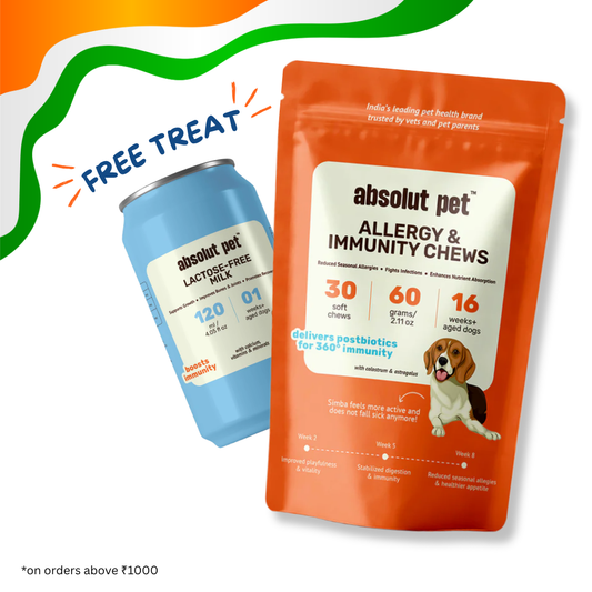Allergy & Immunity Chews