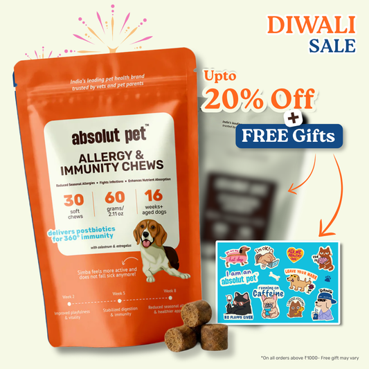 Allergy & Immunity Chews