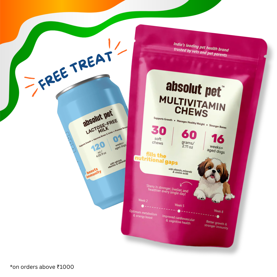 Multivitamin Chews