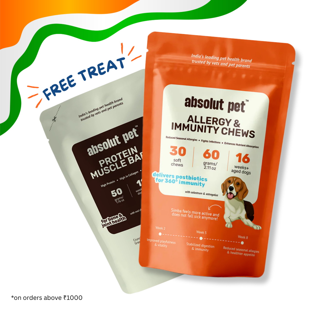 Allergy & Immunity Chews