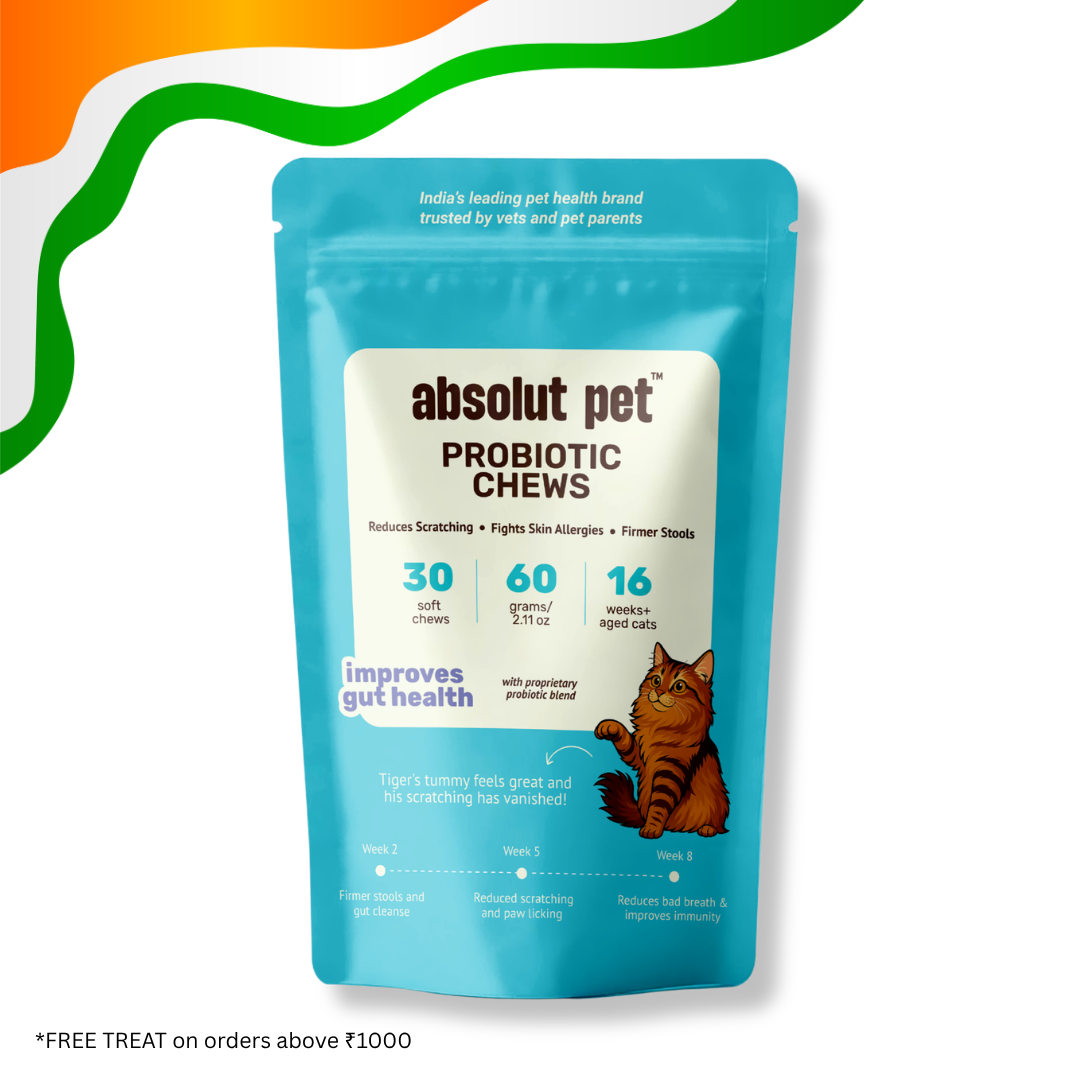 Cat Probiotic Supplement