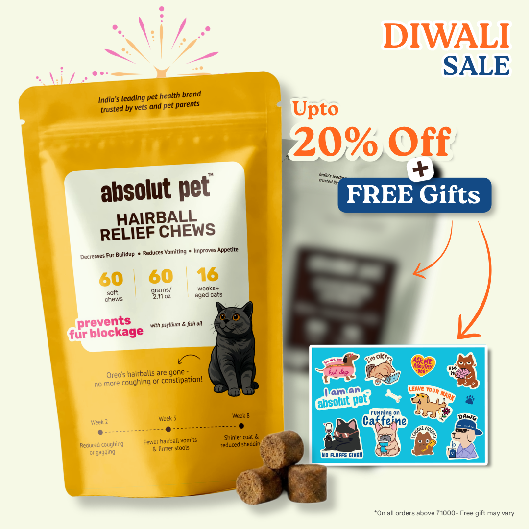 Cat Hairball Relief Supplement