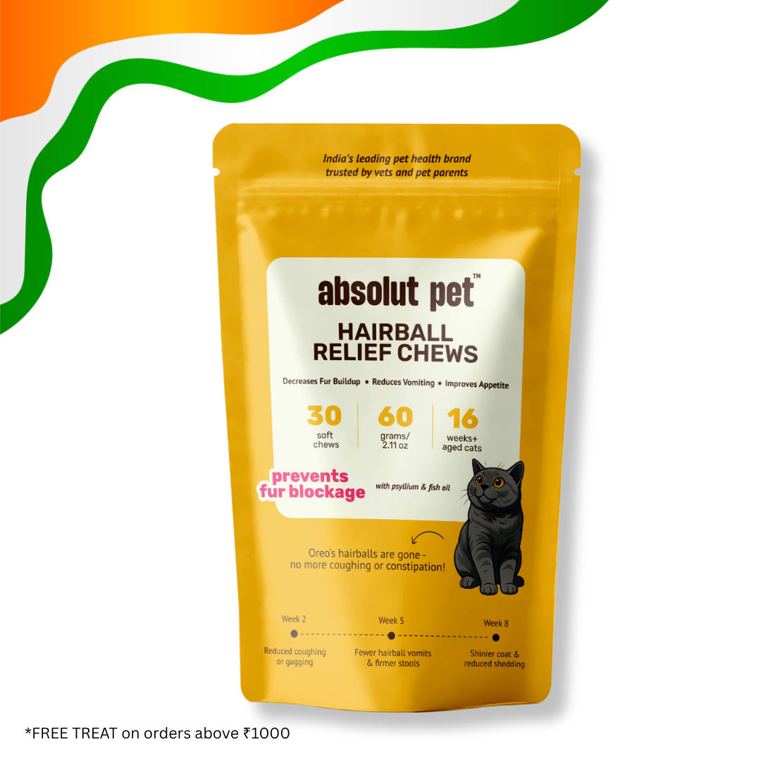 Cat Hairball Relief Supplement