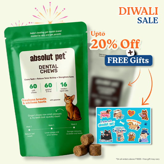 Cat Dental Supplement