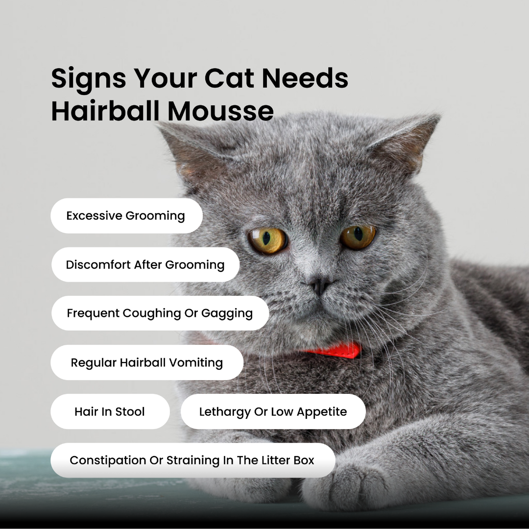 Cat Hairball Relief Mousse