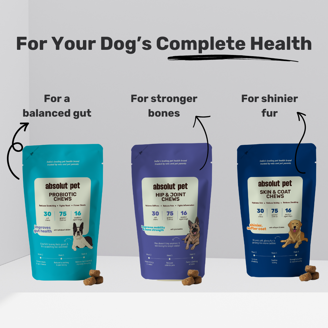 Skin & Coat Chews