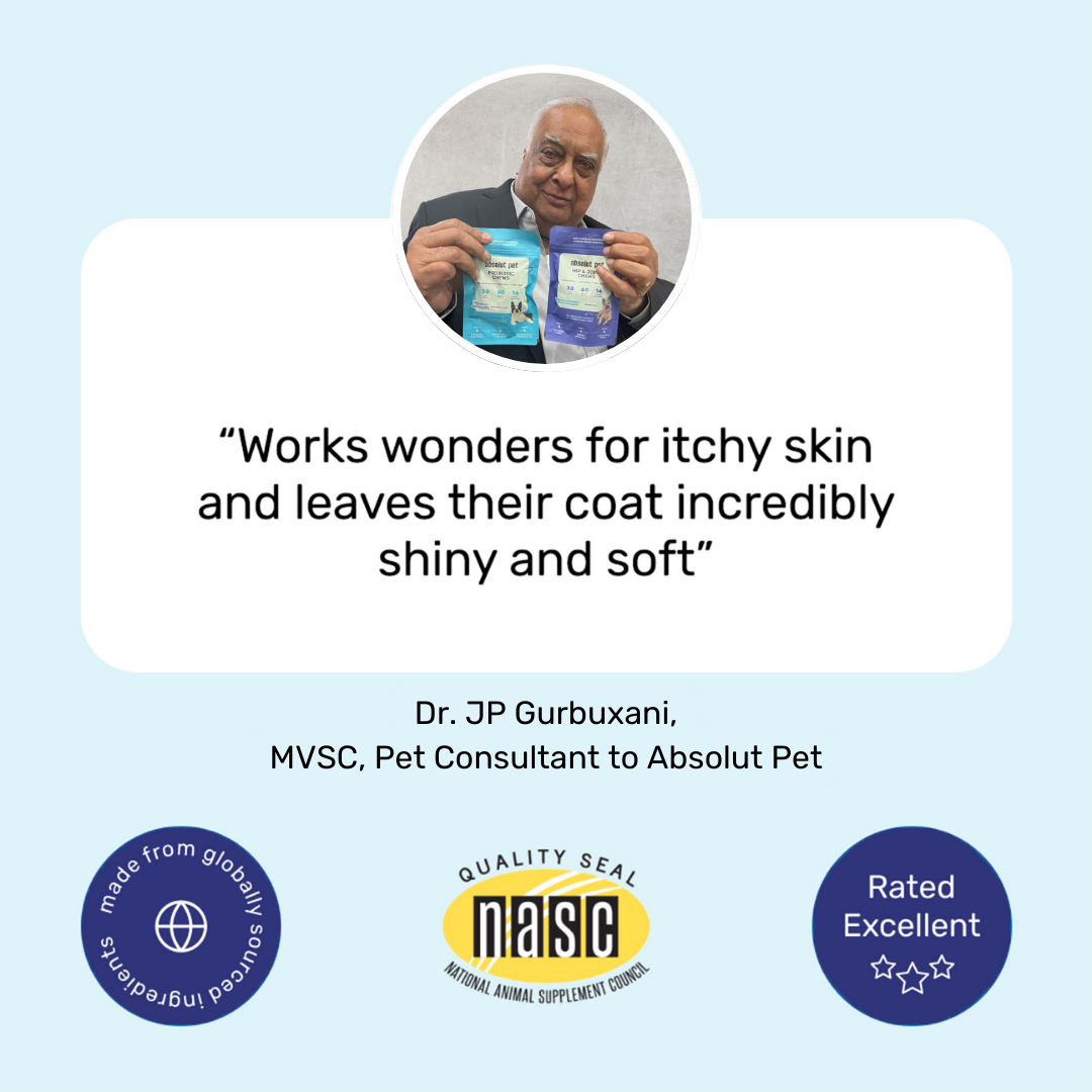 Skin & Coat Chews