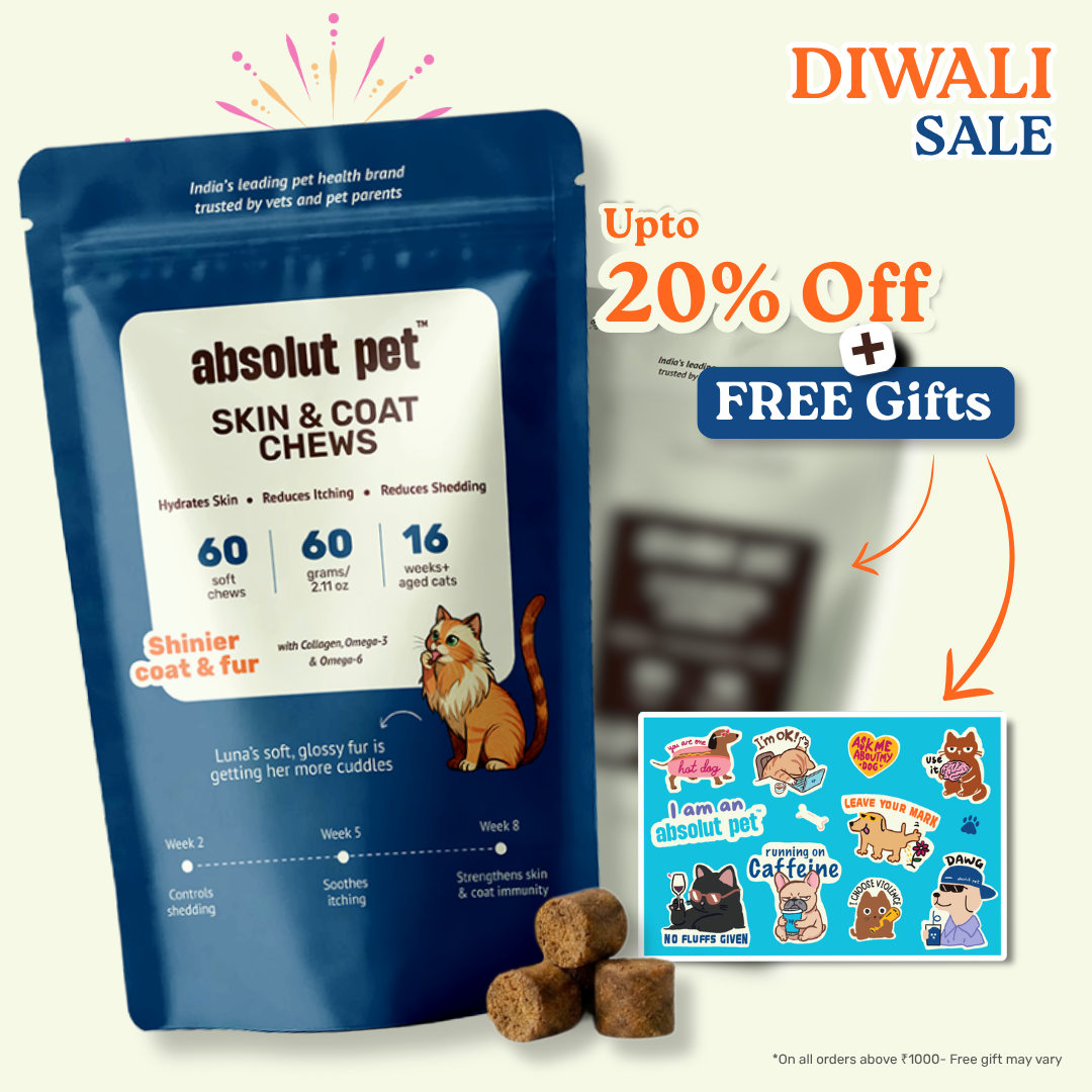Cat Skin & Coat Supplement