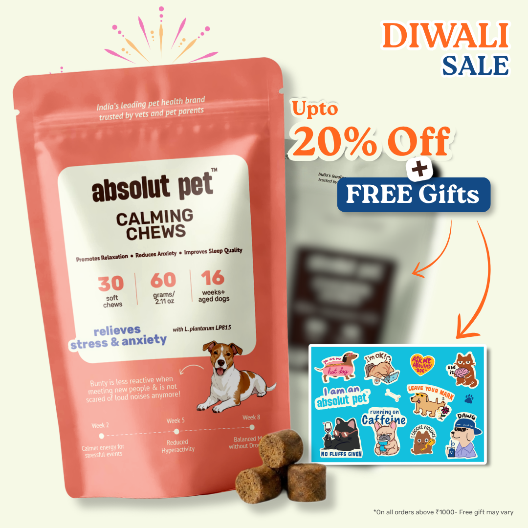 Dog Calming Chews