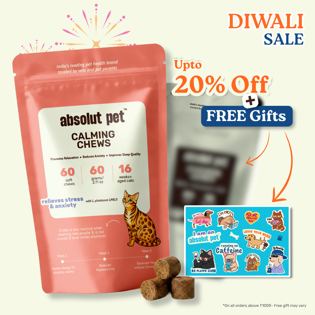 Cat Calming Chews