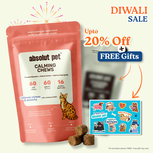 Cat Calming Chews