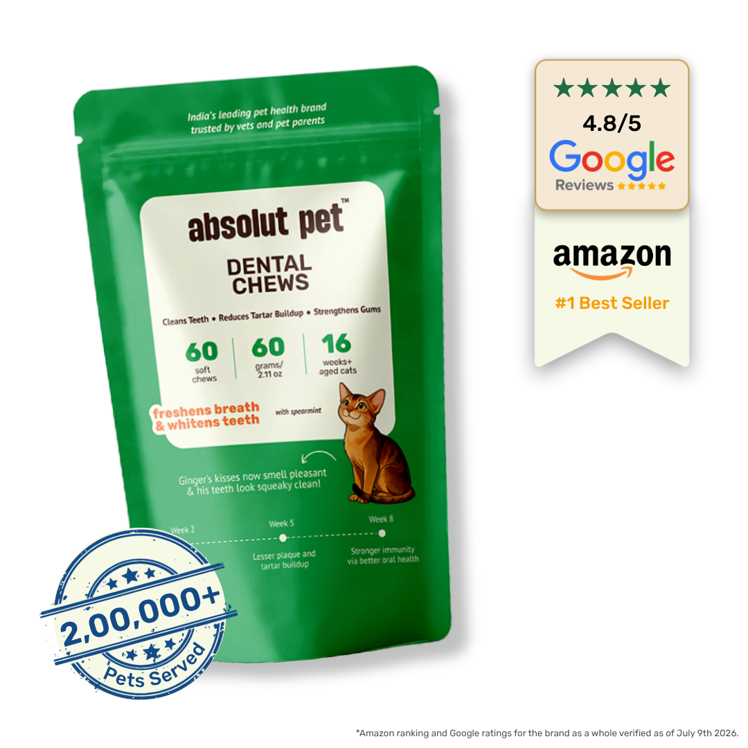 Cat Dental Supplement