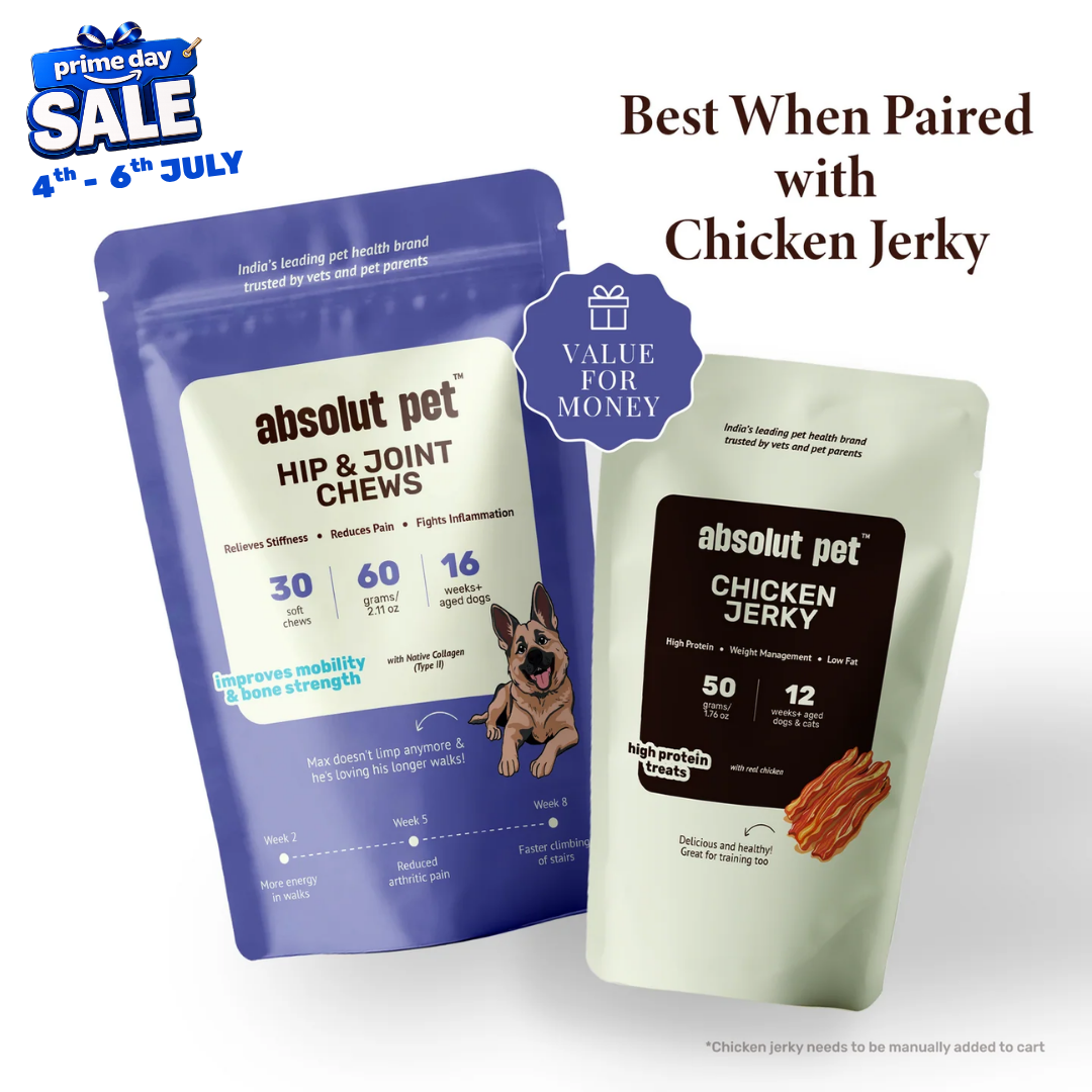 Hip & Joint Chews