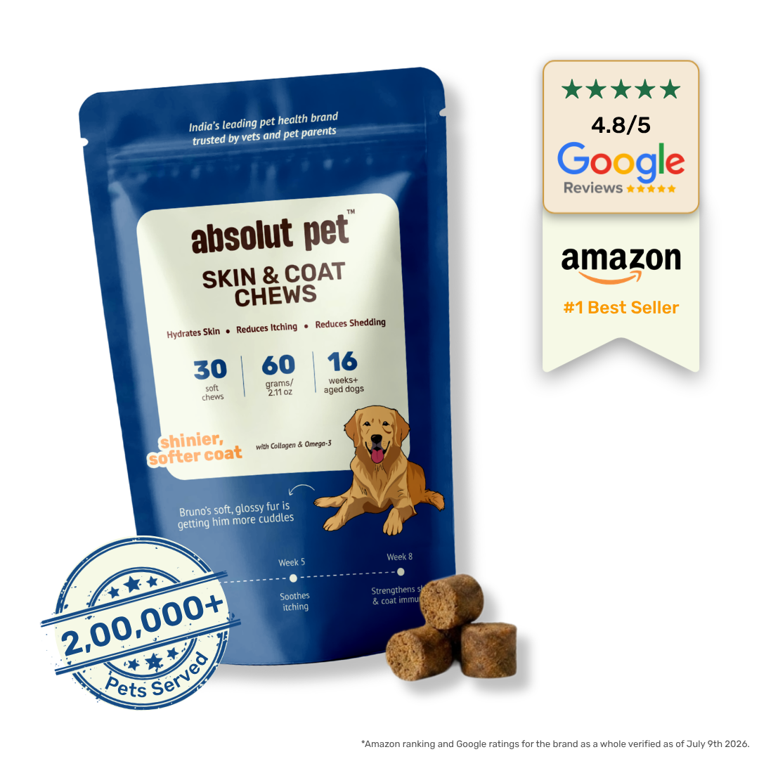 Skin & Coat Supplement