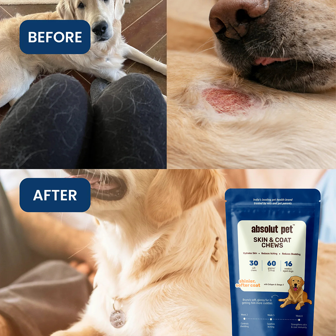 Probiotic, Hip & Joint, Skin & Coat Combo