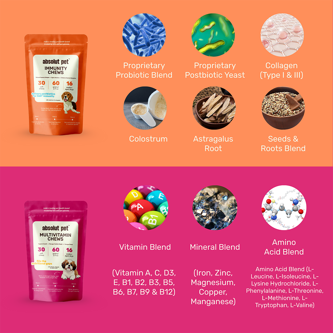 Immunity & Multivitamin Chews Combo