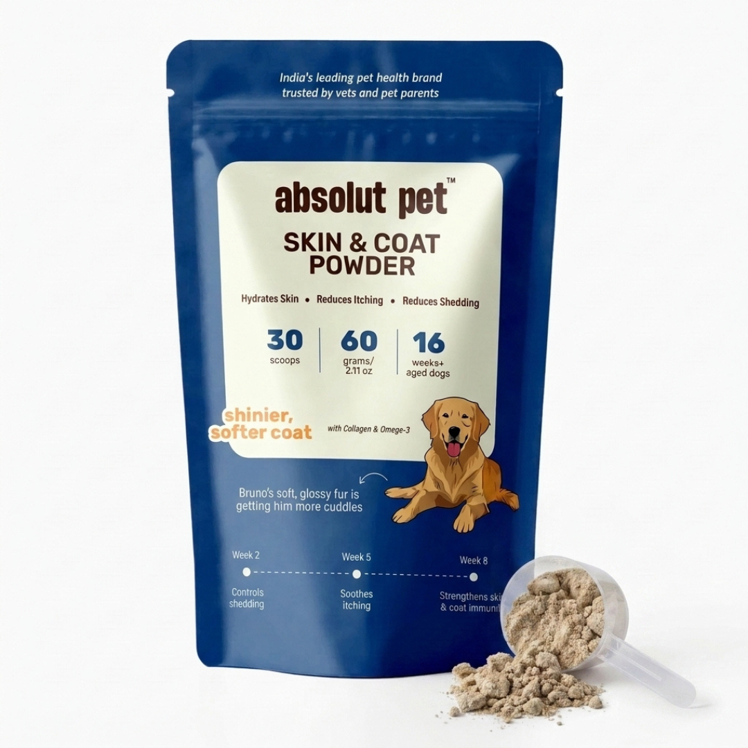 Skin & Coat Supplement