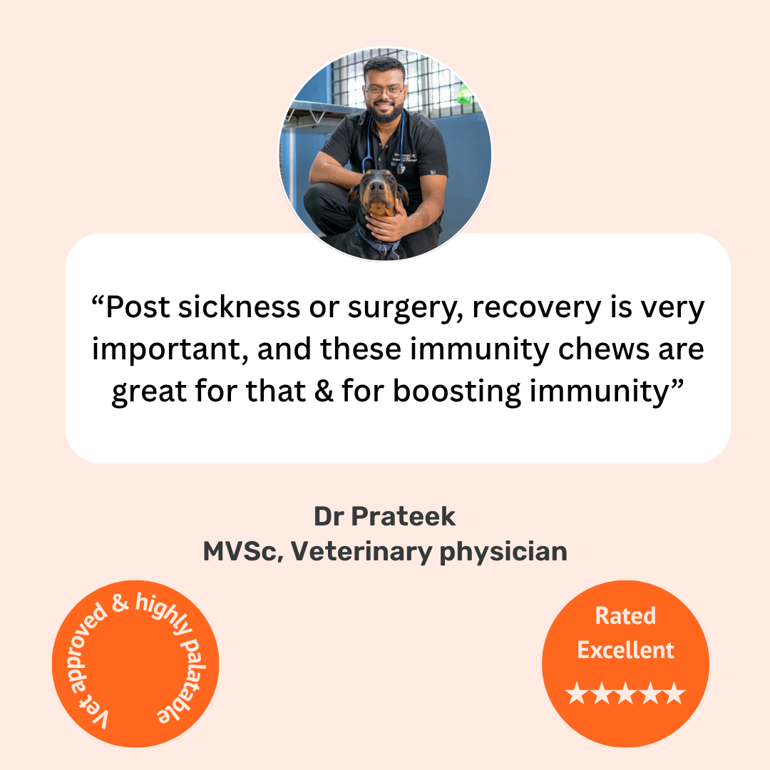 Immunity Chews
