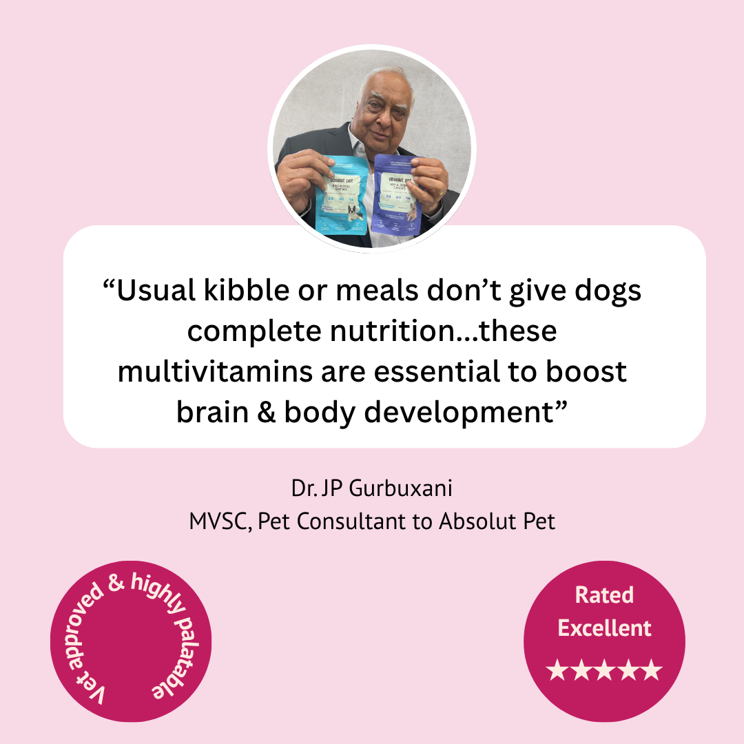 Multivitamin Chews